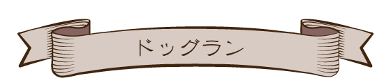 ドッグラン
